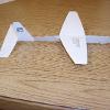Whitewing Glider